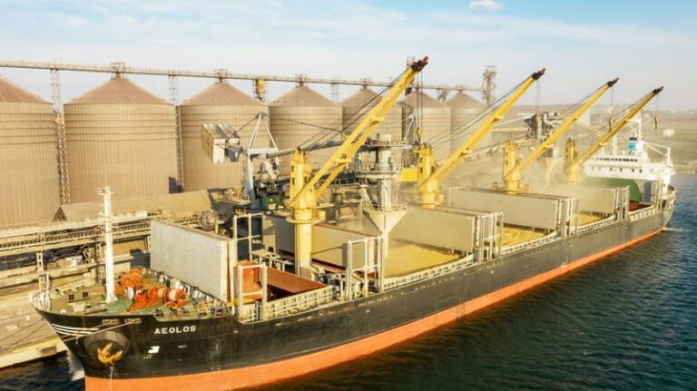 image - 2022-08-01T101715.694