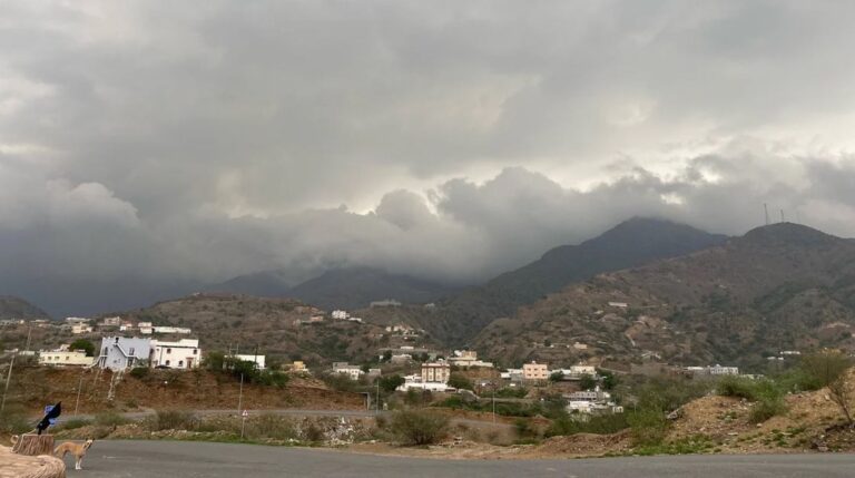 image - 2022-08-01T103711.759