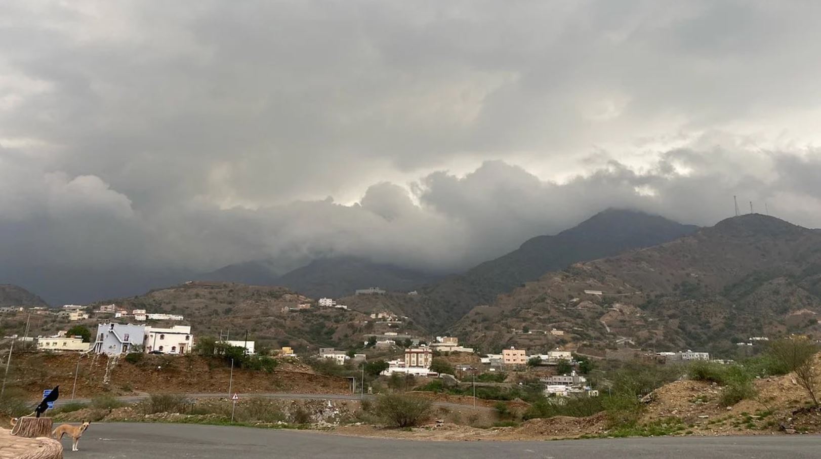 image - 2022-08-01T103711.759