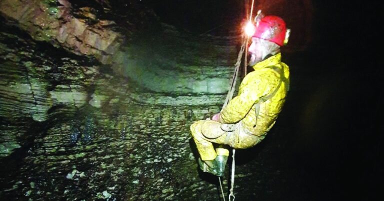 image - 2022-08-02T083747.117