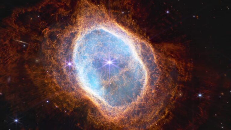 image - 2022-08-03T140608.161