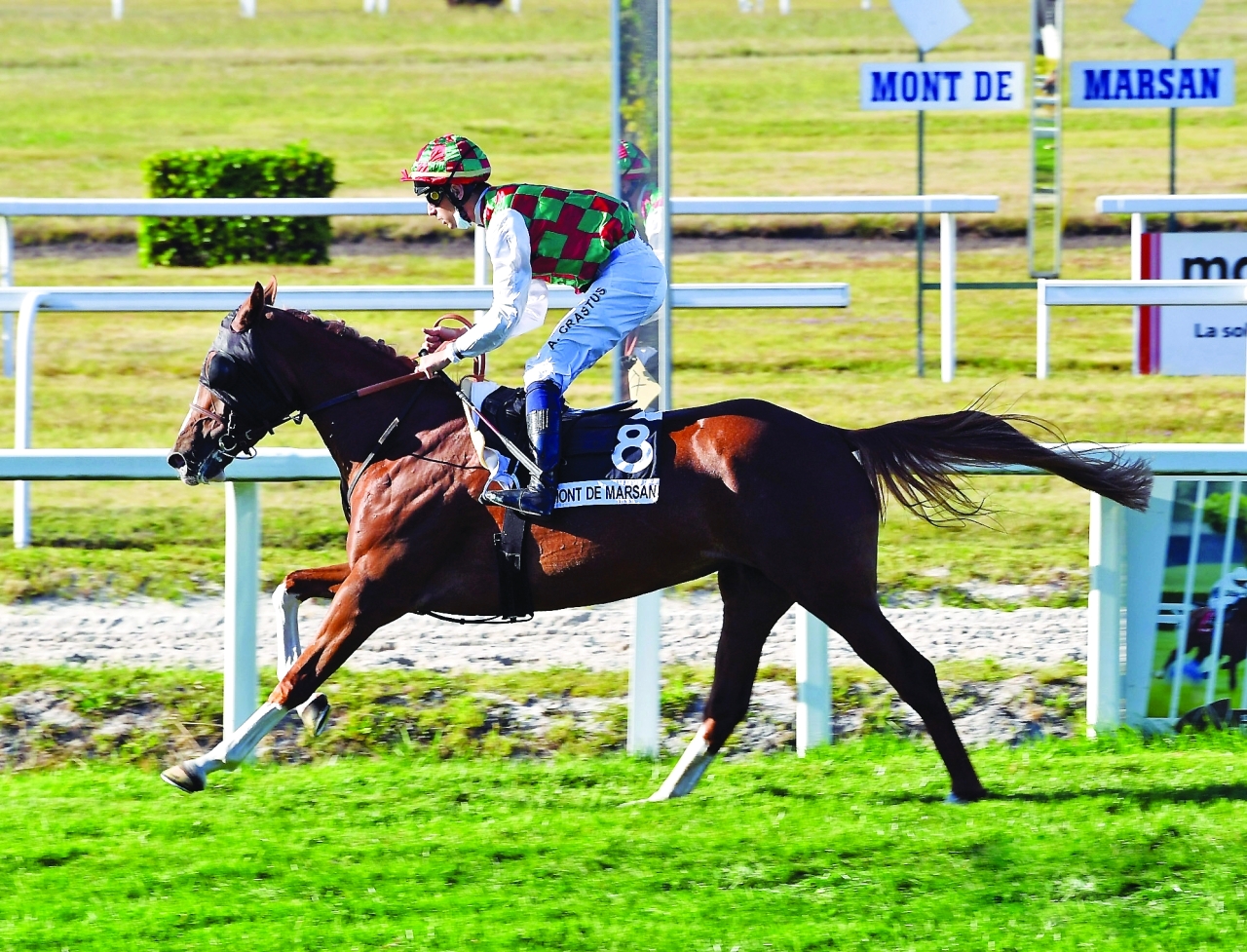 image - 2022-08-08T044547.494