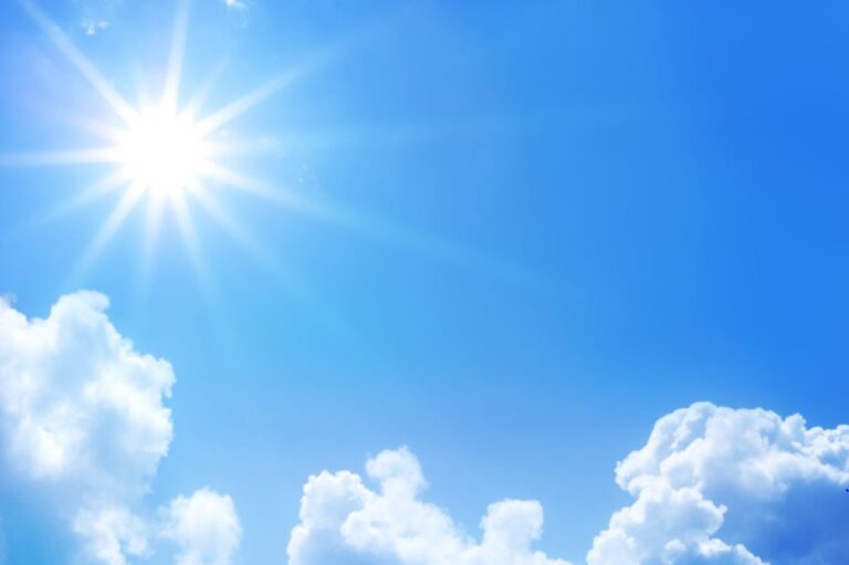 image - 2022-08-10T191510.635