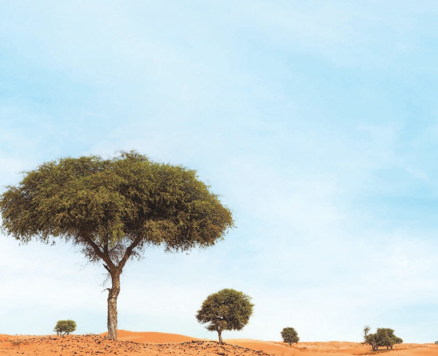 image - 2022-08-11T051629.925