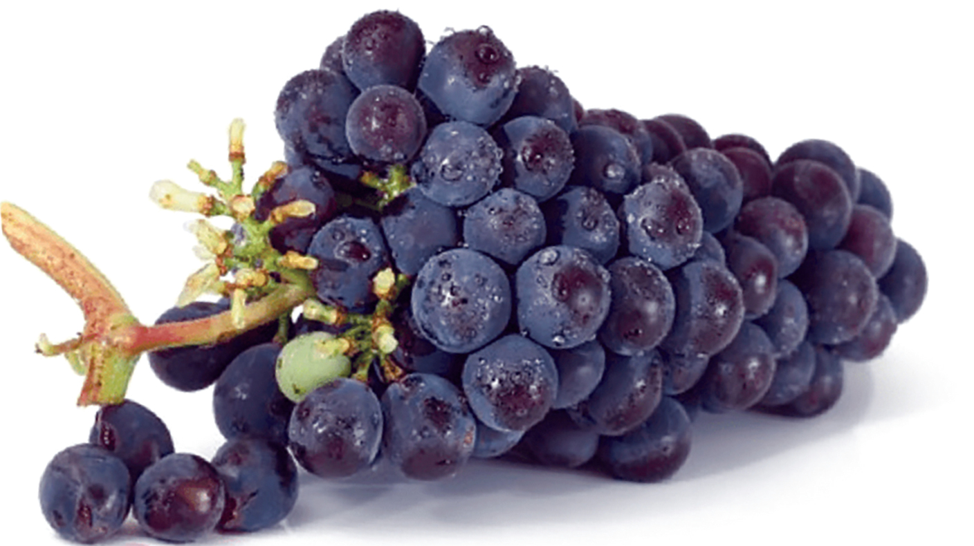 image - 2022-08-23T094535.035