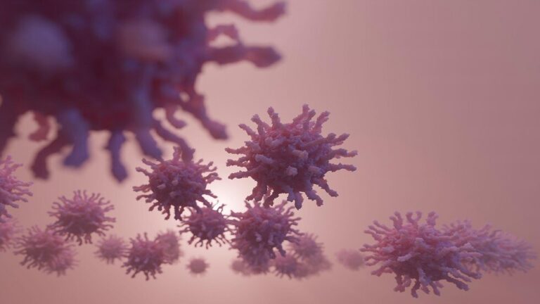 image - 2022-08-27T140308.218