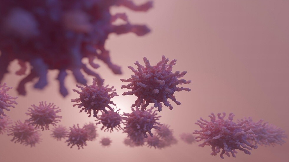 image - 2022-08-27T140308.218