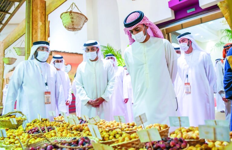 ط¹ظ…ط§ط± ط§ظ„ظ†ط¹ظٹظ…ظٹ ظٹظپطھطھط­ ظ…ظ‡ط±ط¬ط§ظ† ظ„ظٹظˆط§ ط¹ط¬ظ…ط§ظ† ظ„ظ„ط±ط·ط¨ ظˆط§ظ„ط¹ط³ظ„ 2022  6