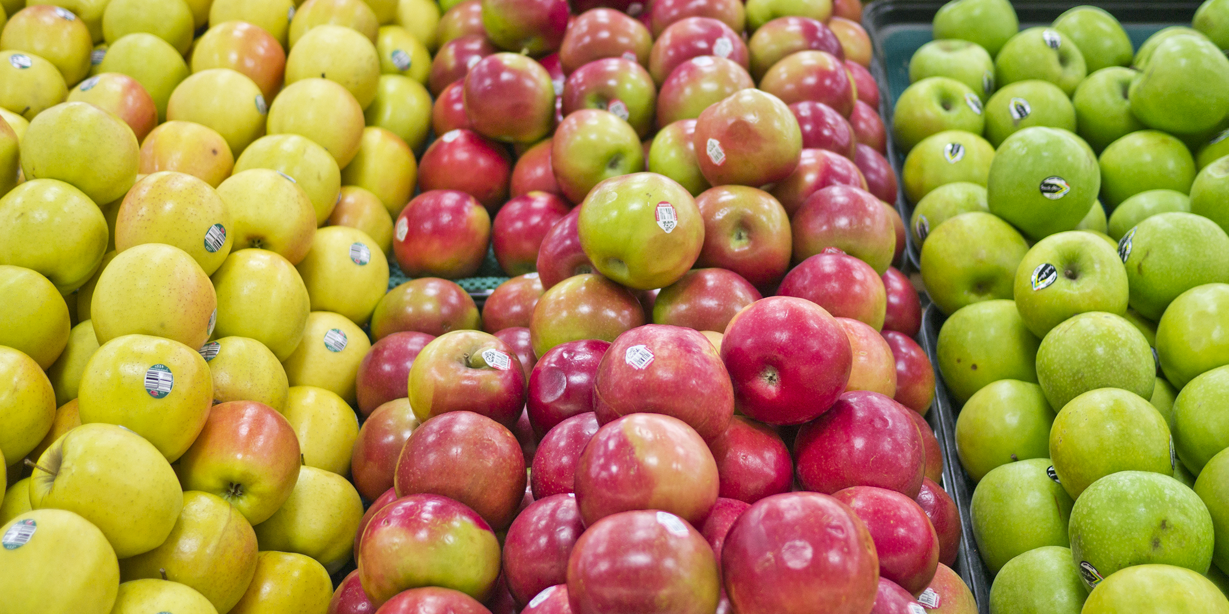 Colourful Apples