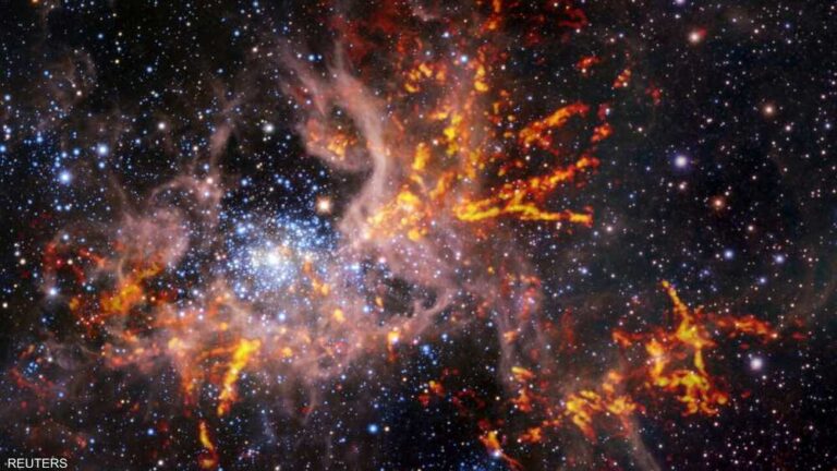 image - 2022-09-07T111702.056