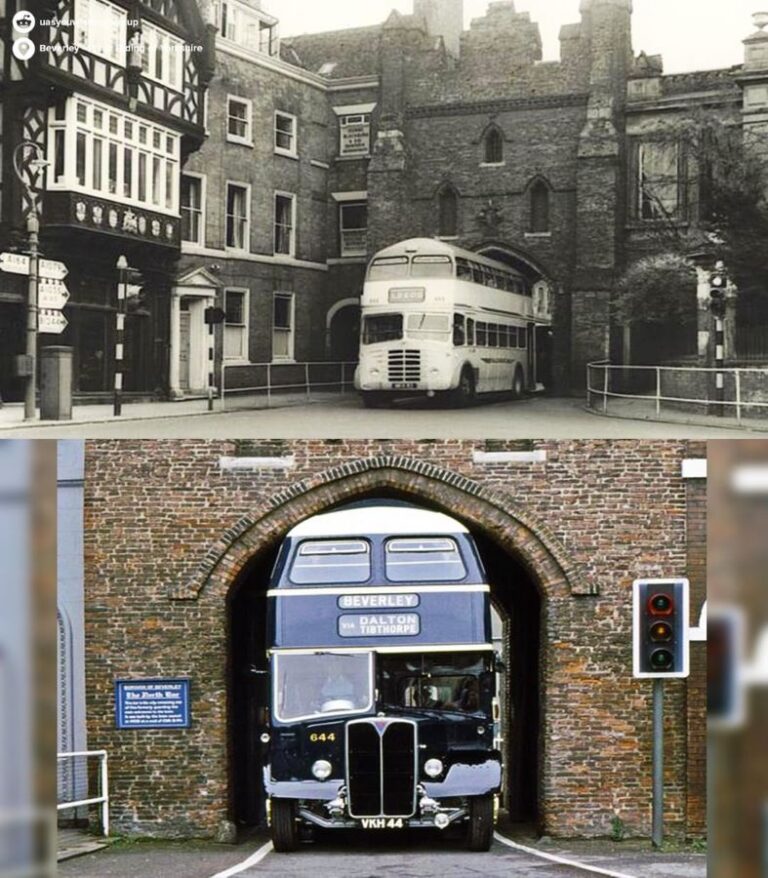 image - 2022-09-13T073702.827