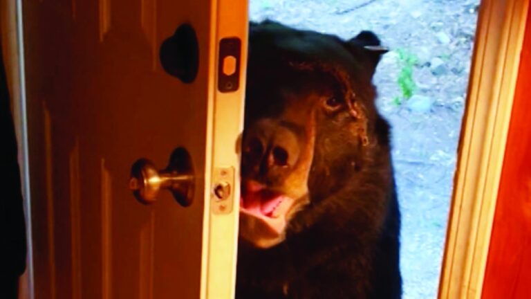 image - 2022-09-15T085231.379