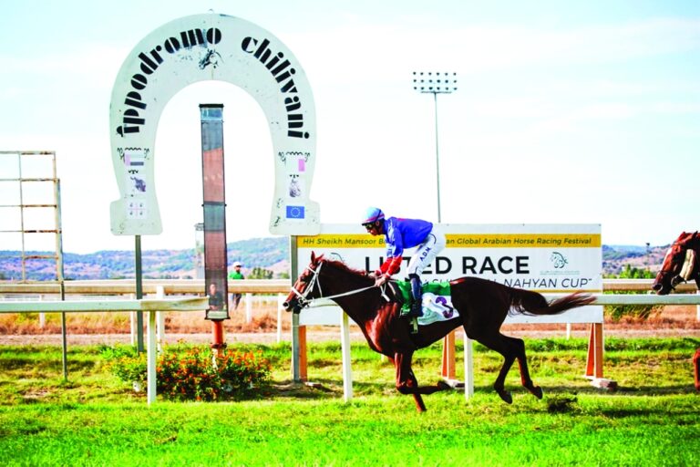 image - 2022-09-17T104216.488