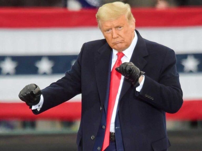 image - 2022-09-17T115415.356