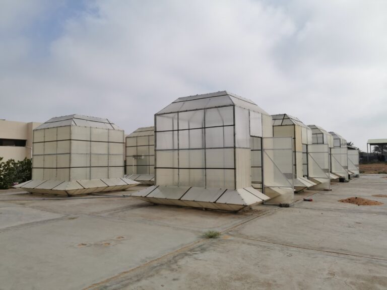 image - 2022-09-19T093753.273