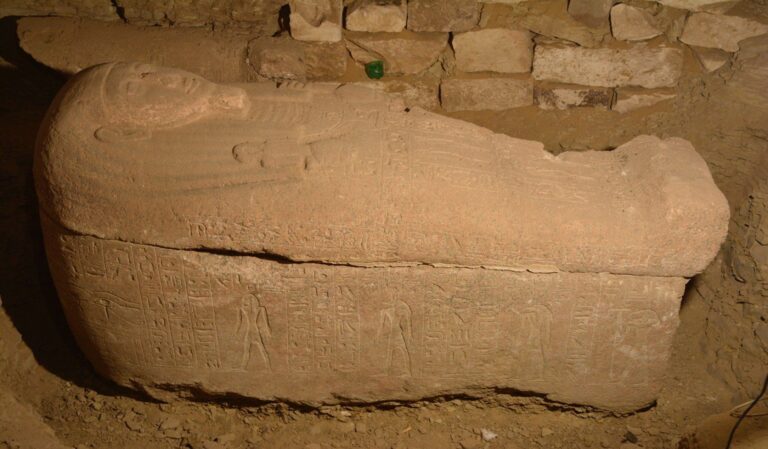 image - 2022-09-19T205518.851