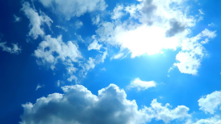 image - 2022-09-24T201144.837