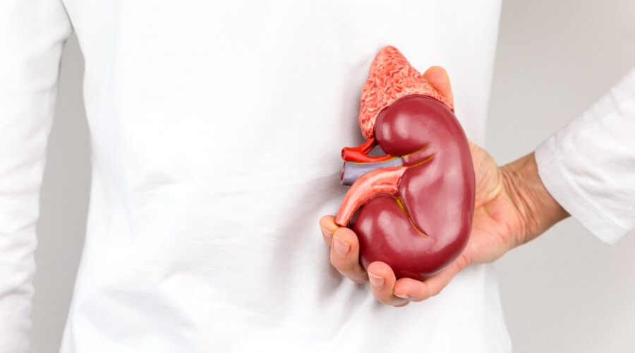 image - 2022-09-25T081558.901