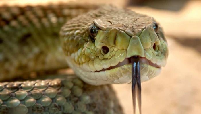 image (8)
