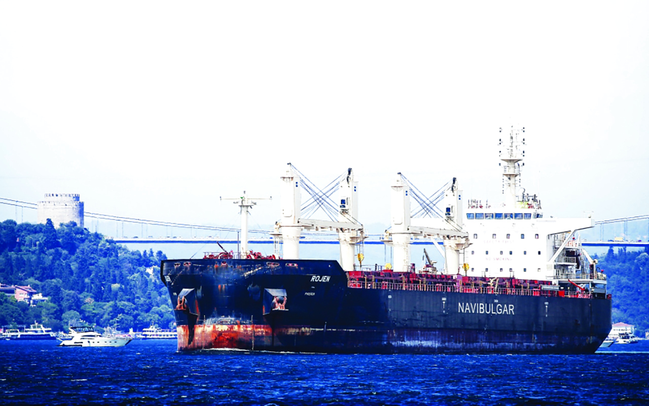 The second ship carrying Ukrainian grain reached Istanbul
