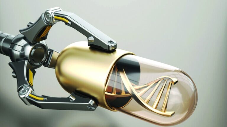 image - 2022-10-01T111303.210