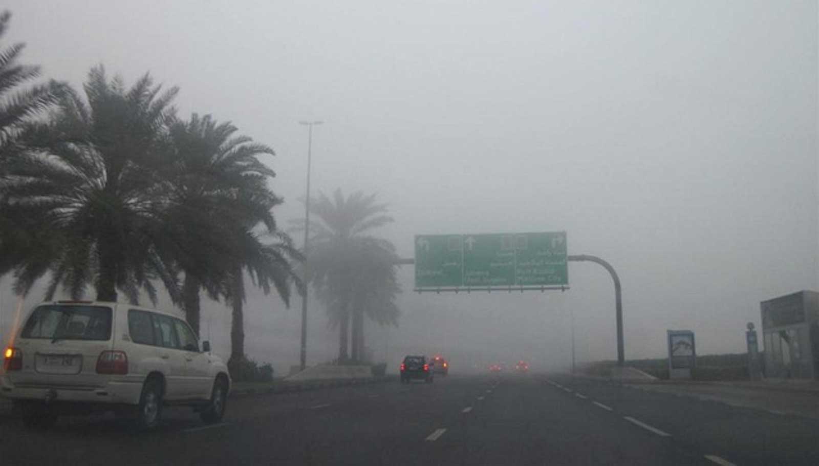 image - 2022-10-03T084319.883