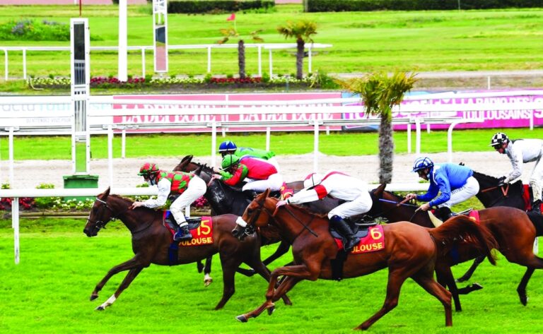 image - 2022-10-04T075055.113