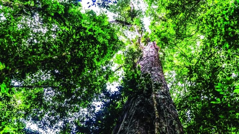 image - 2022-10-09T100333.778