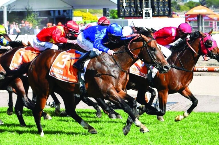 image - 2022-10-10T065005.084