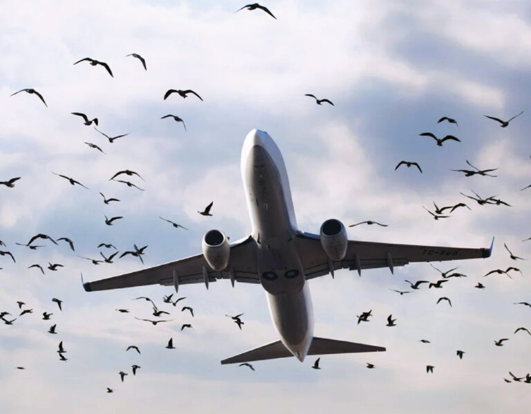 image - 2022-10-10T195251.156