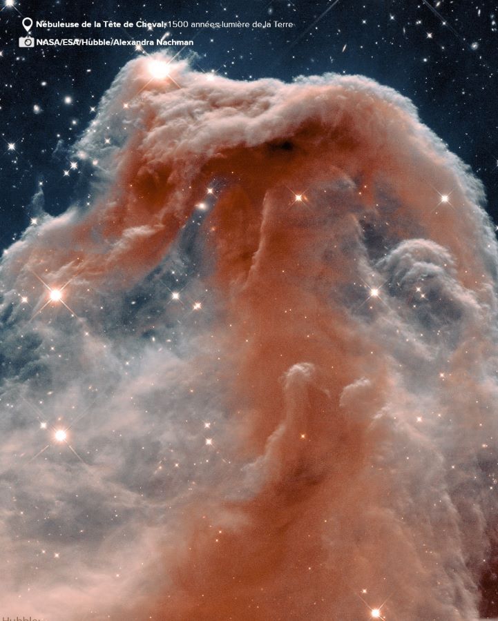 image - 2022-10-11T075407.812