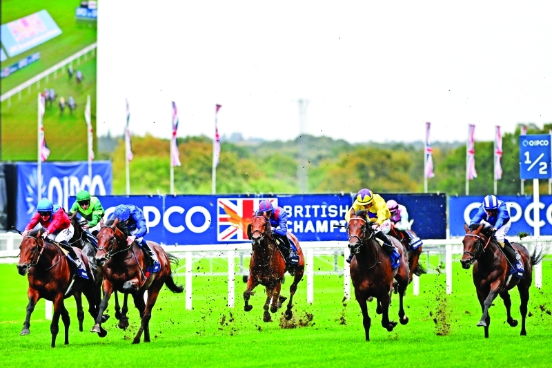 image - 2022-10-16T074818.301