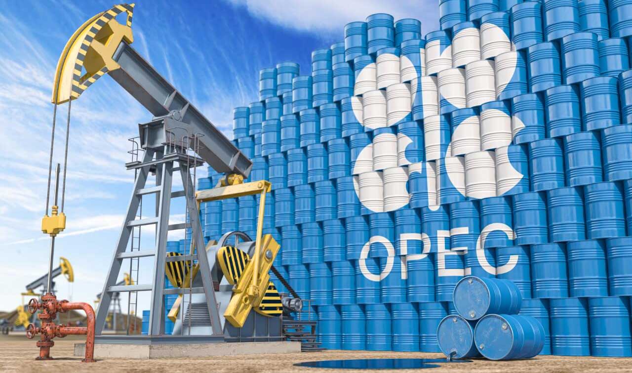 image - 2022-10-16T162557.298