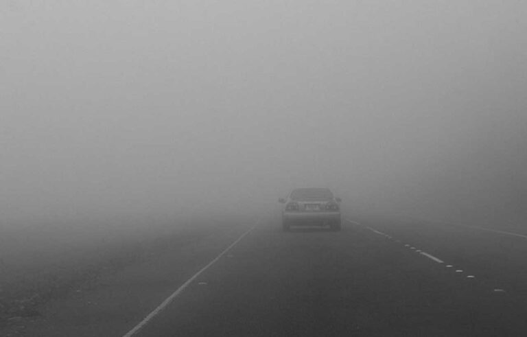 image - 2022-10-17T080014.942