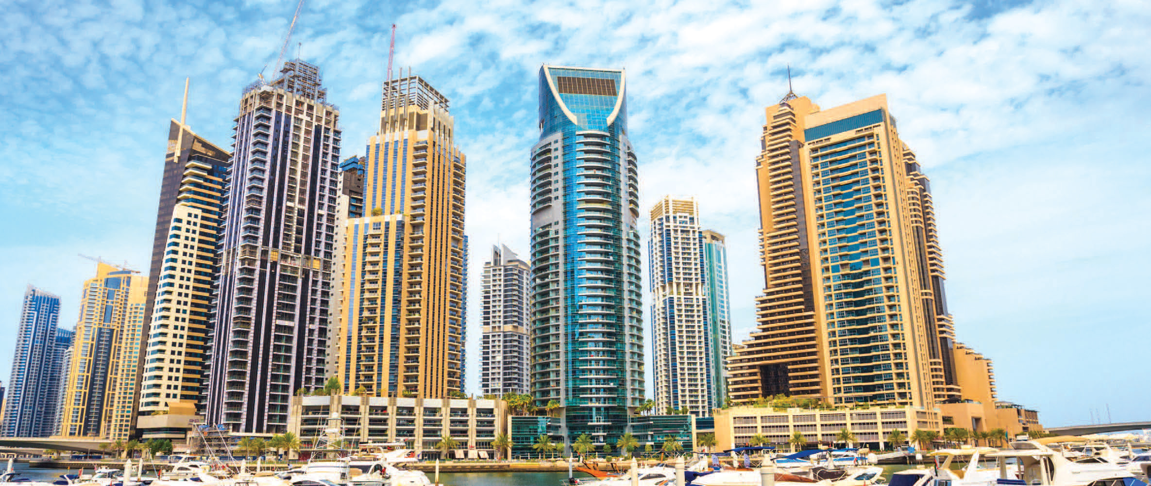 image - 2022-10-17T080846.753