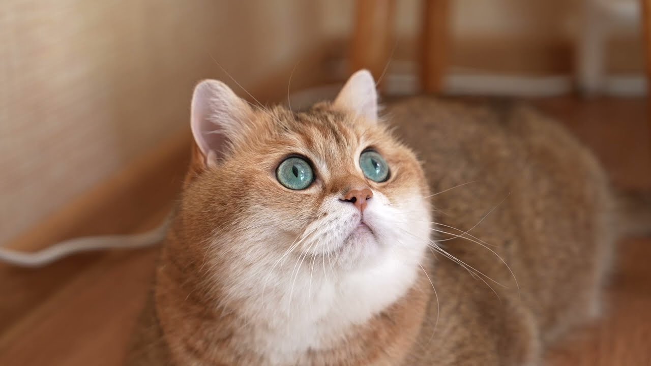 image - 2022-10-18T142025.956