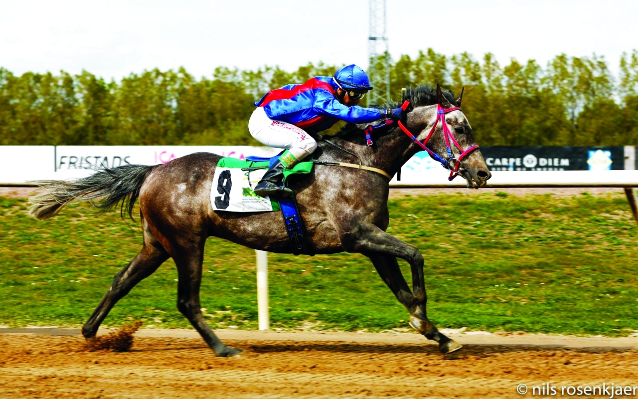 image - 2022-10-19T081935.535