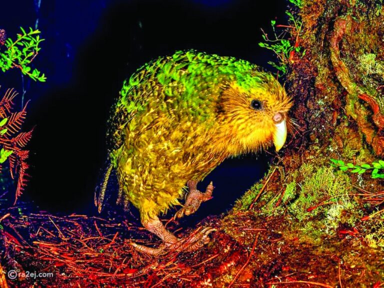 image - 2022-10-19T114849.870