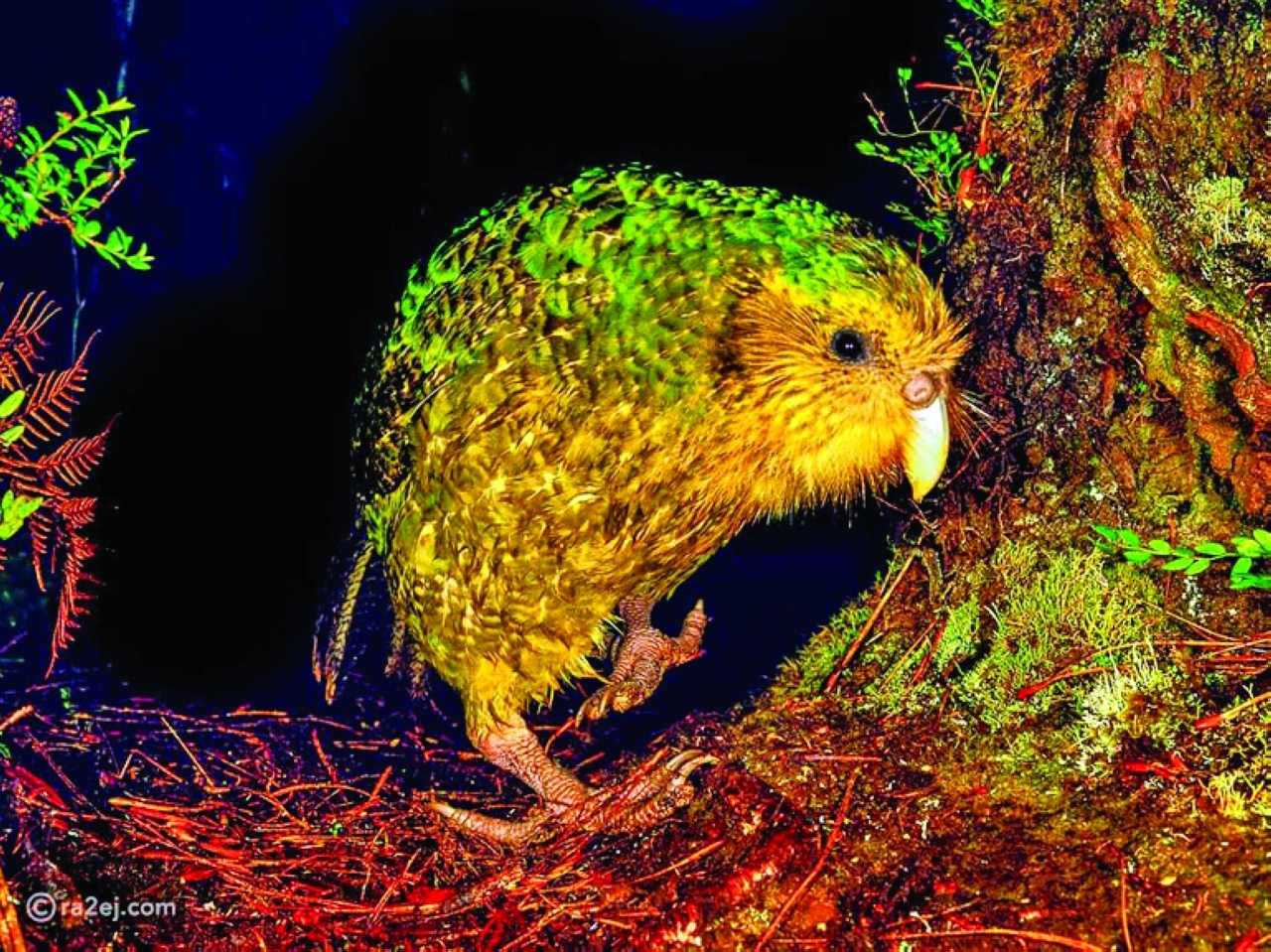 image - 2022-10-19T114849.870