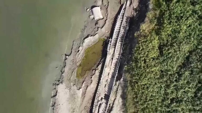 image - 2022-10-23T071646.373