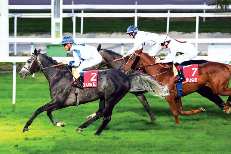 image - 2022-10-26T074913.193