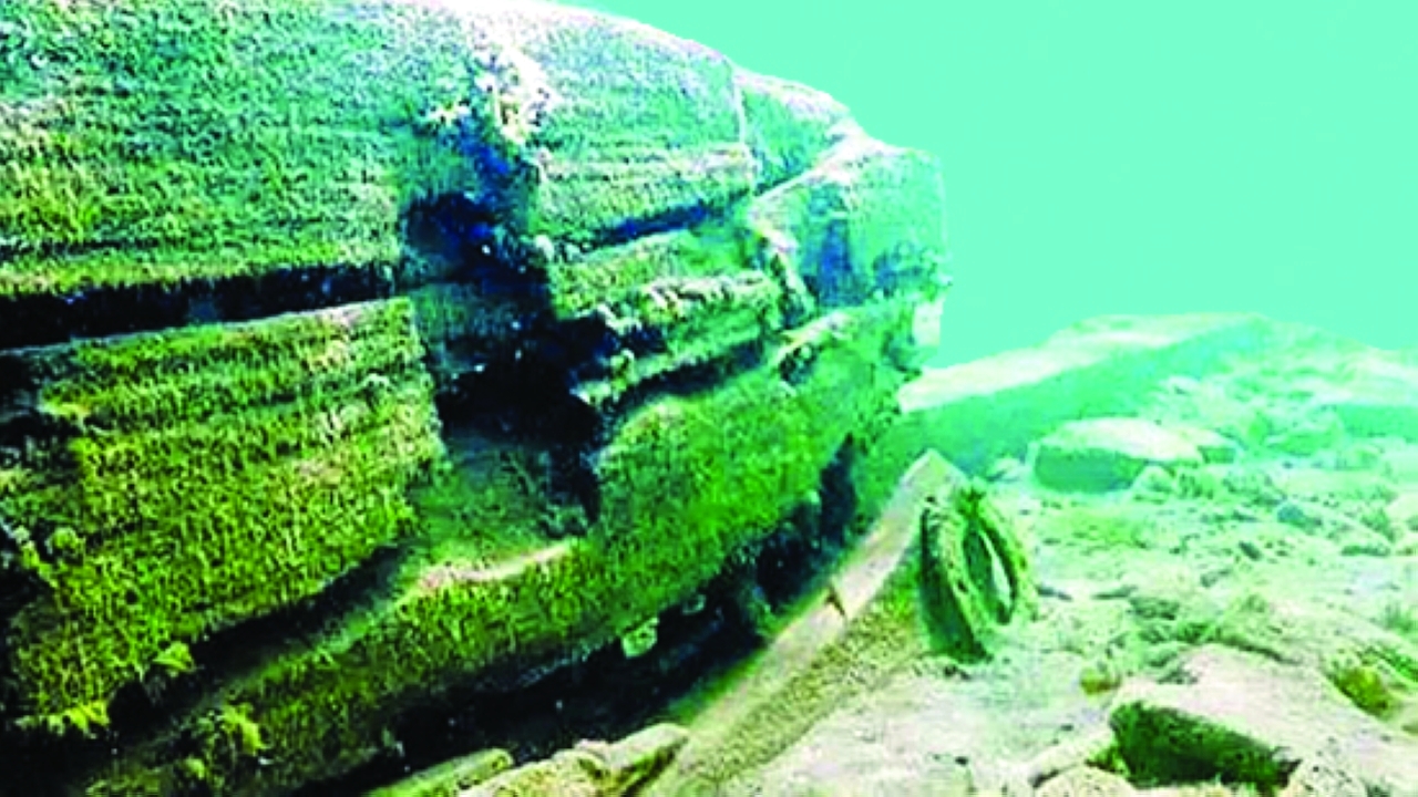 image - 2022-10-26T105750.512