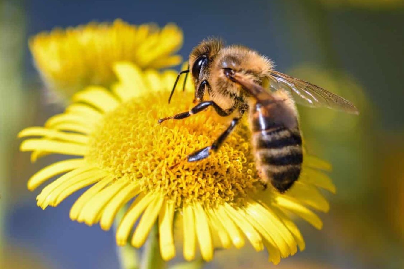 image - 2022-10-29T092155.721