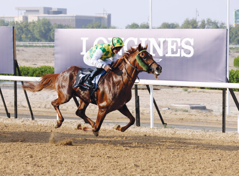 image - 2022-10-31T074647.901