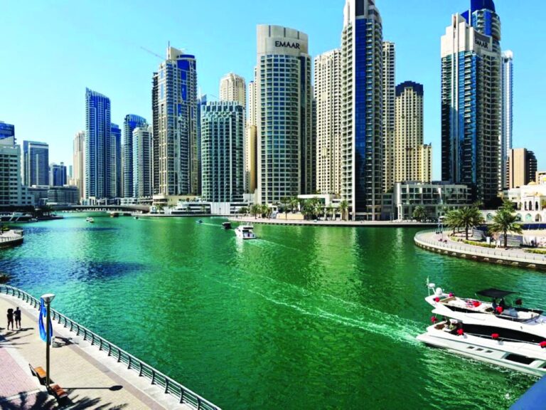 image - 2022-10-31T074924.460