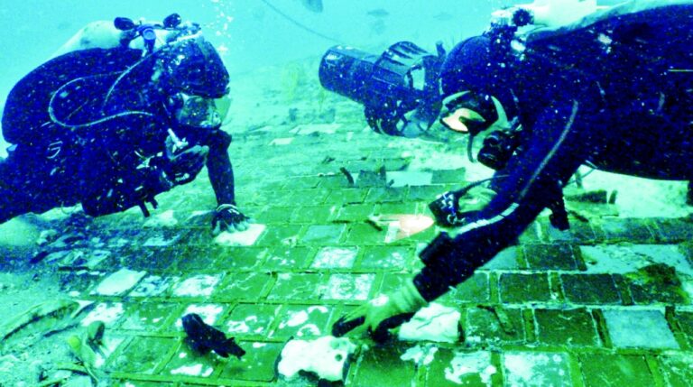 image - 2022-11-12T120828.124