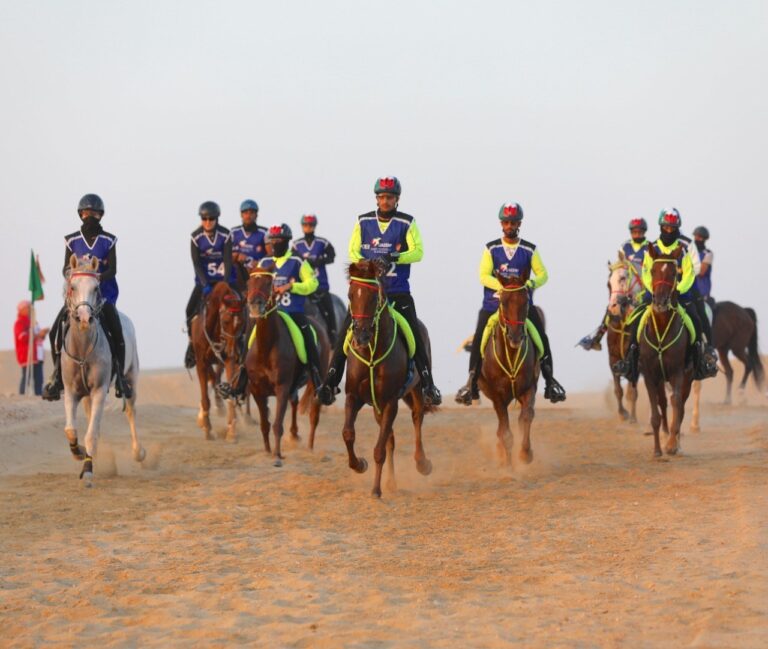 image - 2022-11-13T213734.094