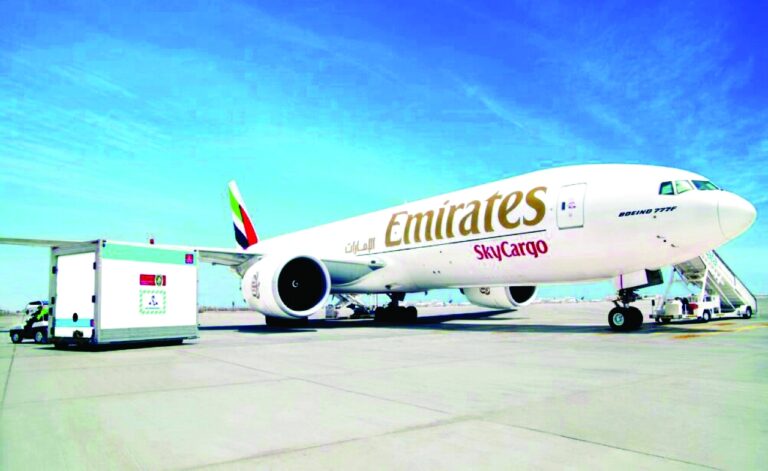 image - 2022-11-16T083200.235