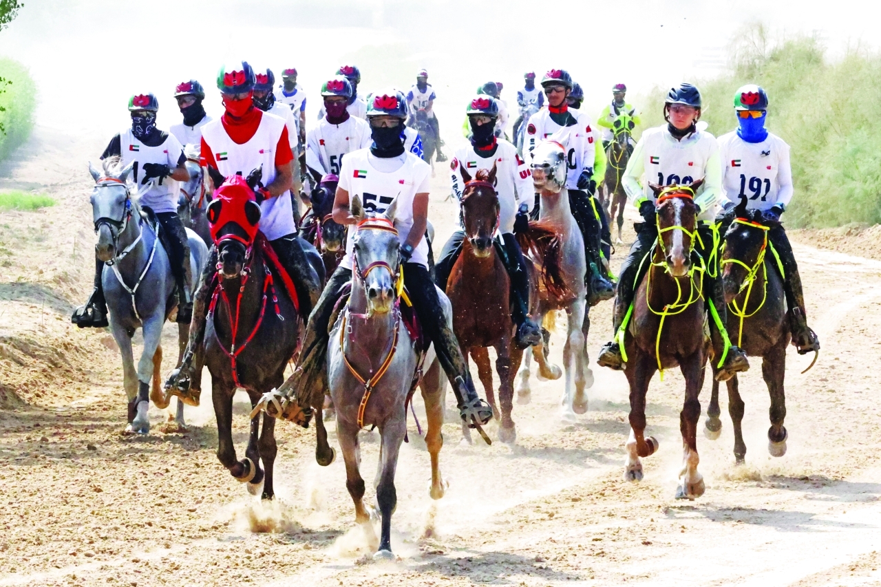 image - 2022-11-17T082156.905