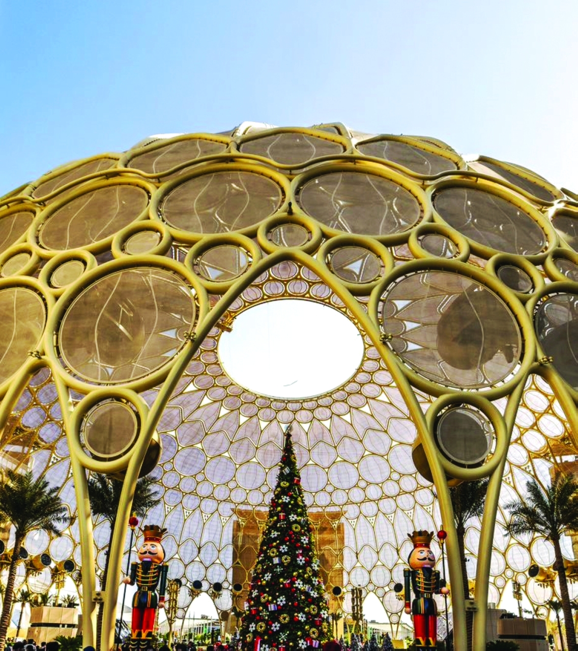 image - 2022-11-17T083503.116